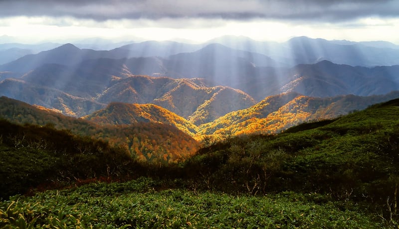 Nature's Beauty